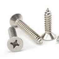 ASTM A479 S32205 Self Drilling Screw