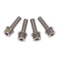 Coloured Stainless Steel Exhaust Bolts