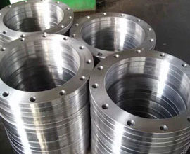 Hastelloy Flanges