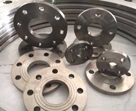 Titanium Flanges
